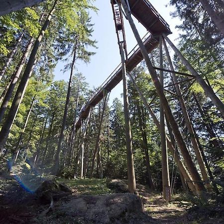 Cozy I Blockhuette Im Nationalpark I Ferienwohnung Neureichenau Luaran gambar