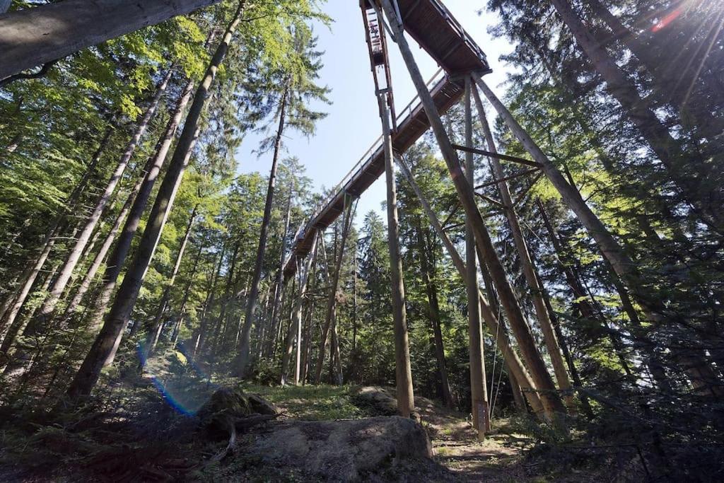 Cozy I Blockhuette Im Nationalpark I Ferienwohnung Neureichenau Luaran gambar