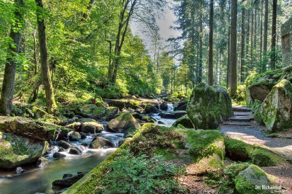 Cozy I Blockhuette Im Nationalpark I Ferienwohnung Neureichenau Luaran gambar