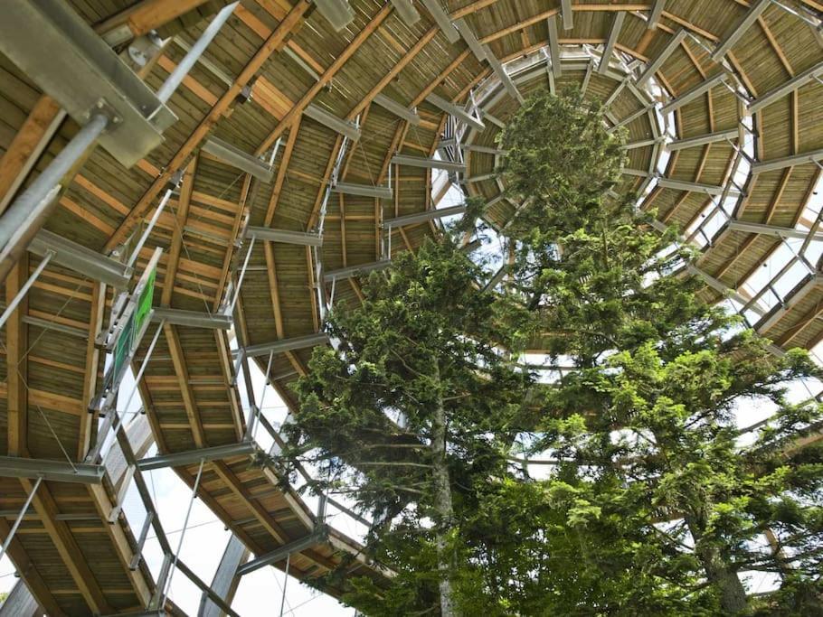 Cozy I Blockhuette Im Nationalpark I Ferienwohnung Neureichenau Luaran gambar